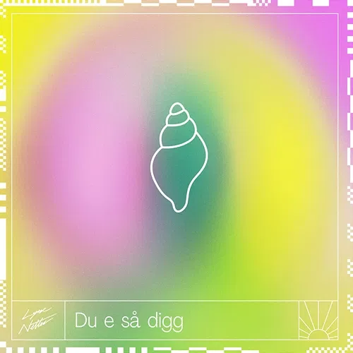 Du e så digg Lyse Netter