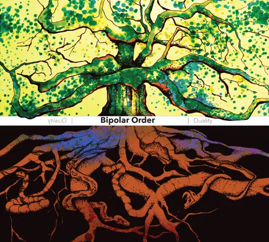 Duality Bipolar Order