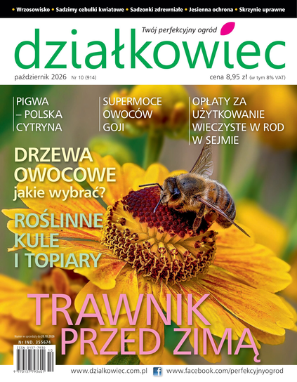 Działkowiec Działkowiec Wydawnictwo