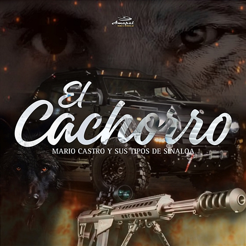 El Cachorro Mario Castro, Sus Tipos De Sinaloa
