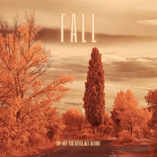 Fall The boy you never met before