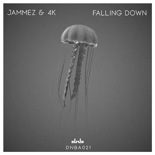 Falling Down Jammez & 4K