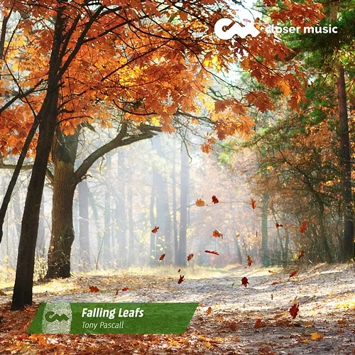 Falling Leafs Tony Pascall