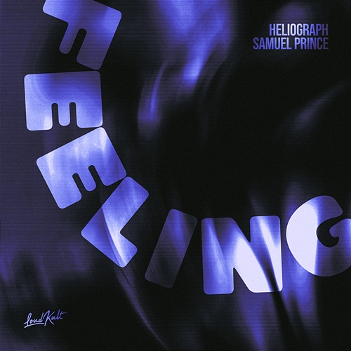 Feeling Heliograph, Samuel Prince
