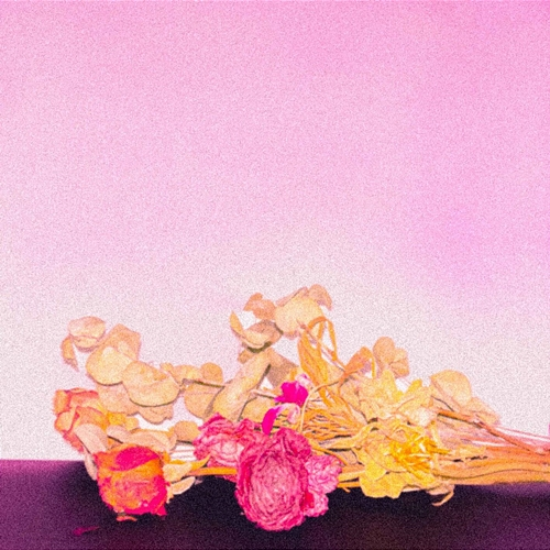 Fiori Den