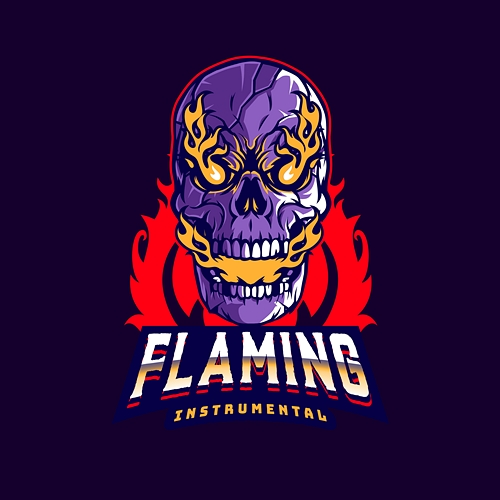 Flaming Hustler Mind Music