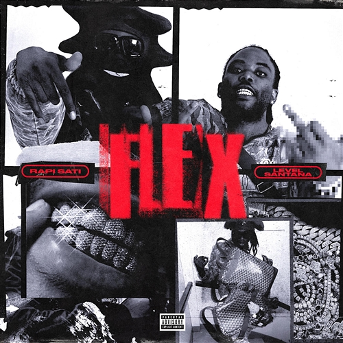 FLEX Rapi Sati, LEVELSANTANA