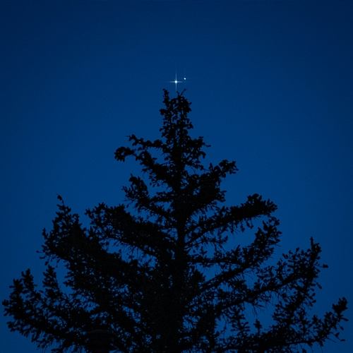 Forest Astral MOCHICRE