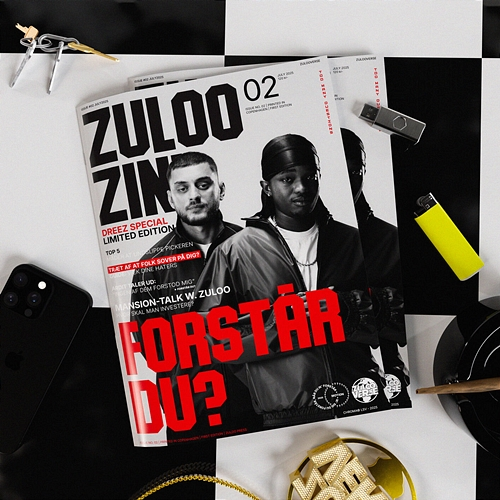 FORSTÅR DU? Zuloo, Artigeardit