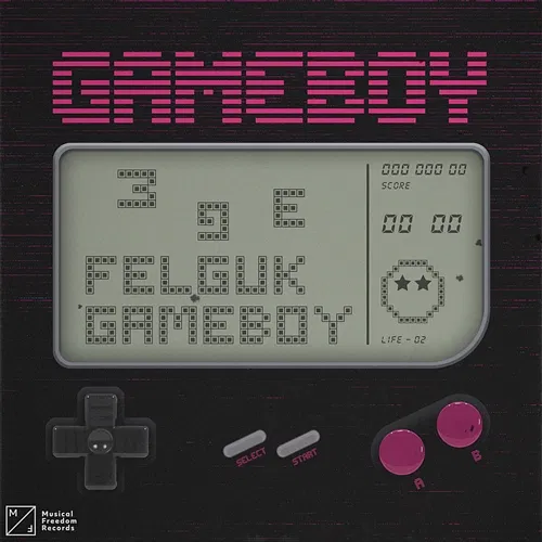Game Boy Felguk