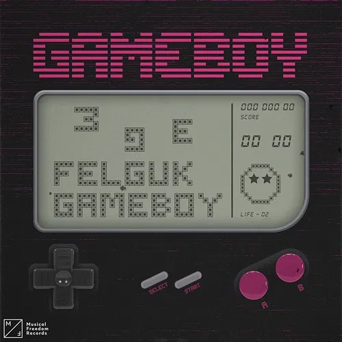 Game Boy Felguk