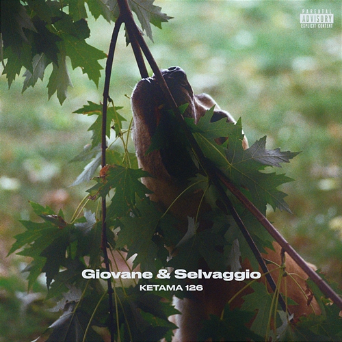 Giovane e Selvaggio Ketama126