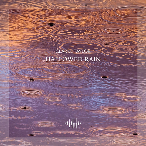 Hallowed Rain Clarke Taylor
