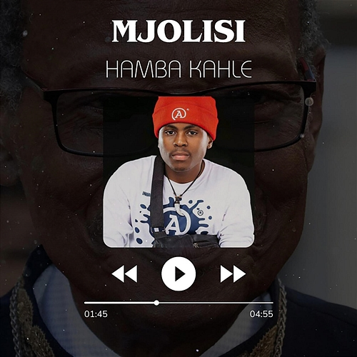 Hamba Kahle Mjolisi
