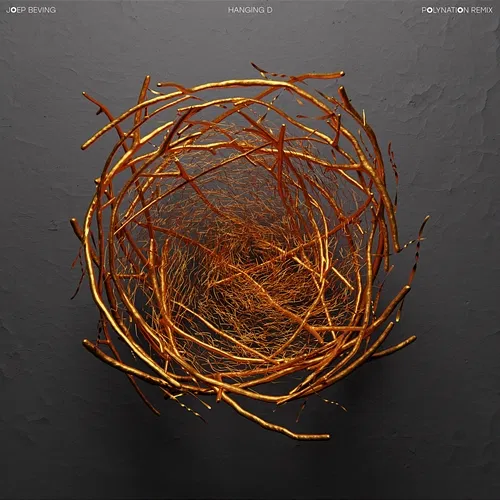 Hanging D Joep Beving, Polynation