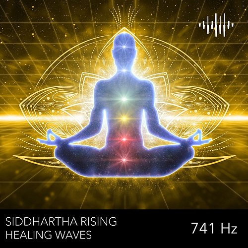 Healing Waves Siddhartha Rising