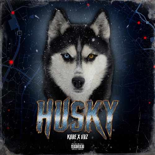 HUSKY Kube, VBZ