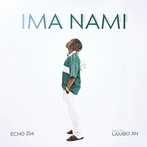 Ima Nami Echo 254
