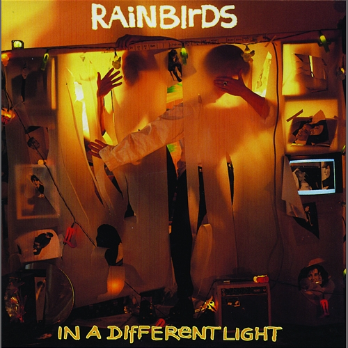 In a Different Light Rainbirds