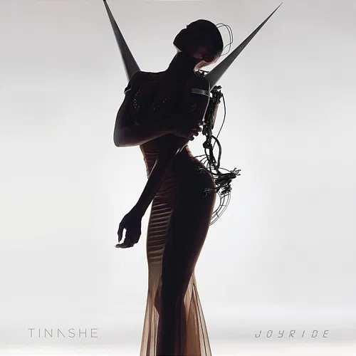 Joyride Tinashe