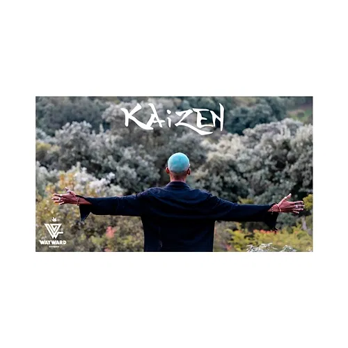 Kaizen K-Zaka
