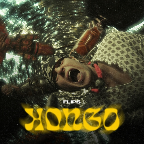 Kongo Flips Luchenzo, DJ Flip
