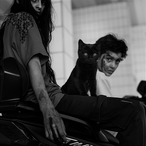L'ORAGE ARRIVE Chat Noir
