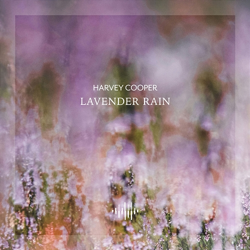 Lavender Rain Harvey Cooper