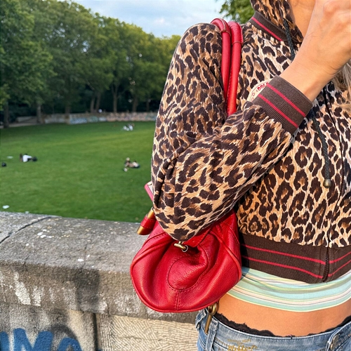 Leopard 01099, Paul, Zachi