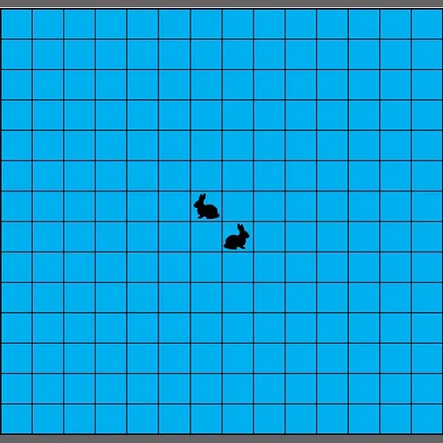 Lies Black Rabbits