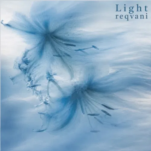 Light Reqvani, Carmen.