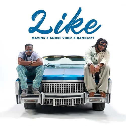 LIKE Mavins, Andre Vibez, DanDizzy