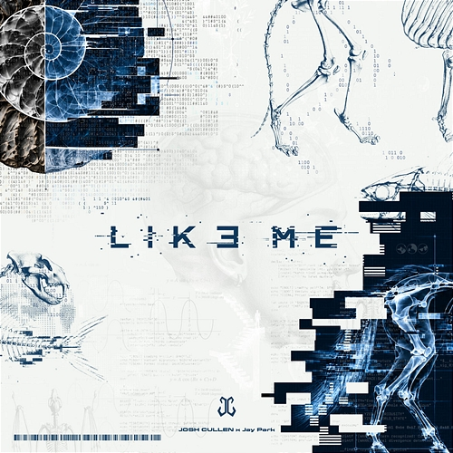 LIKE ME JOSH CULLEN, Jay Park