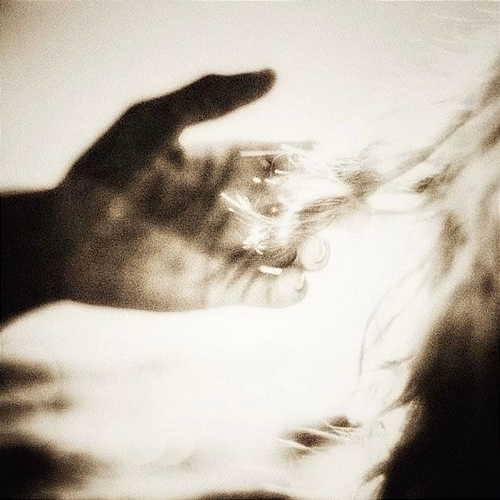 Limerence Moayad Aljabal