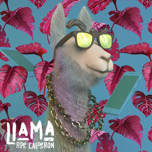 Llama Pipe Calderón