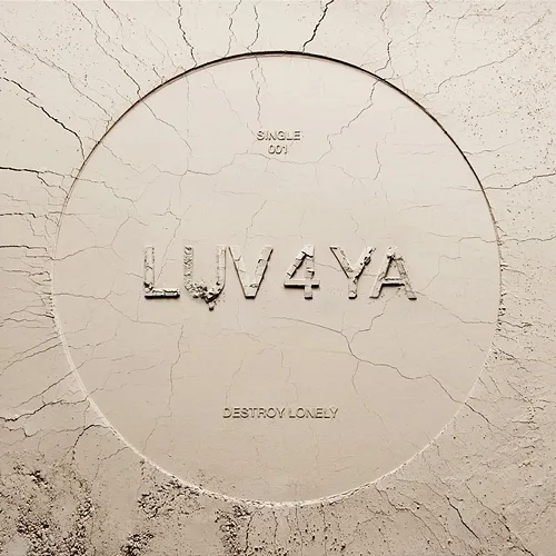 LUV 4 YA Destroy Lonely