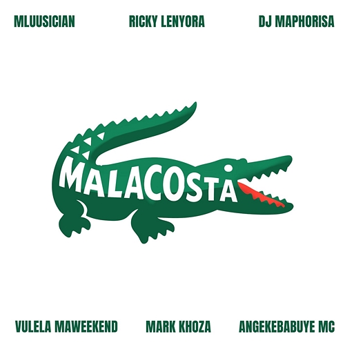 Malacosta Mluusician, Ricky Lenyora, DJ Maphorisa, Vulela Maweekend, Mark Khoza, Angekebabuye Mc