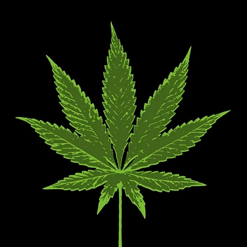 Marijuana Teflon Brothers, Stereo
