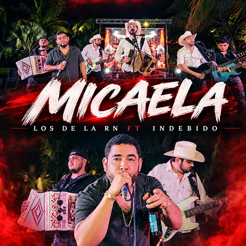 Micaela Los De La Rn, Indebido