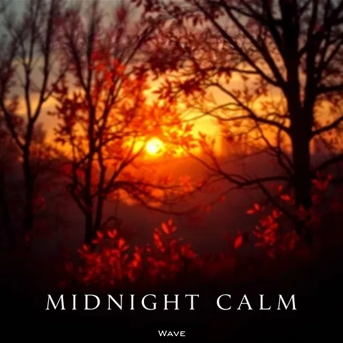 Midnight Calm Wave
