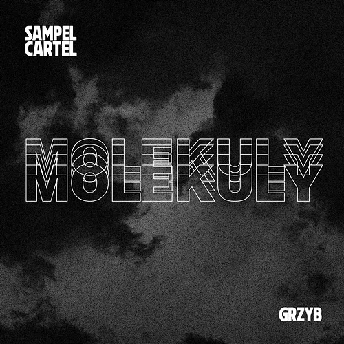 Molekuły Sampel Cartel, Grzyb