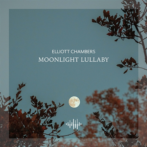 Moonlight Lullaby Elliott Chambers