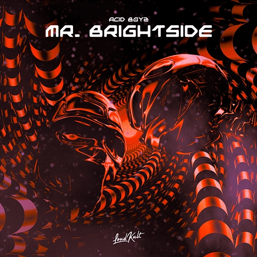 Mr. Brightside Acid Boyz