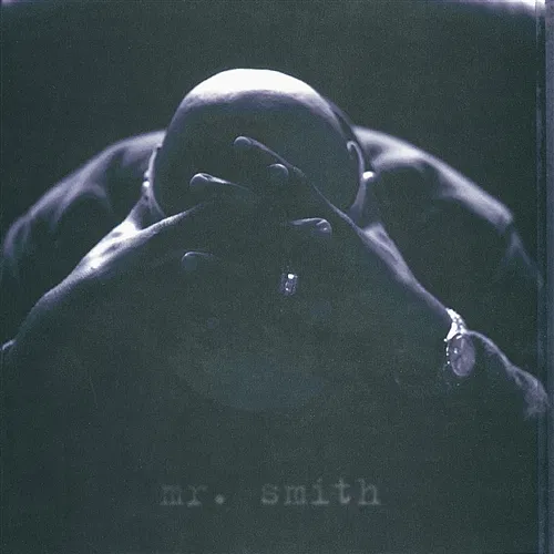 Mr. Smith LL Cool J