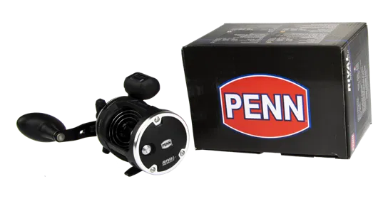Multiplikator Penn Rival Level Wind LC LH Penn