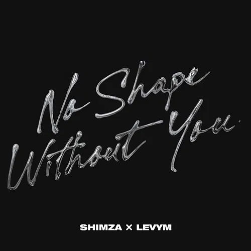 No Shape Without You Shimza, LevyM