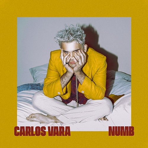 Numb Carlos Vara