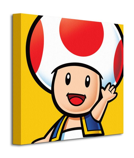 Obraz na płótnie Super Mario Toad na ścianę do pokoju dziecka 40x40 cm Super Mario Bros