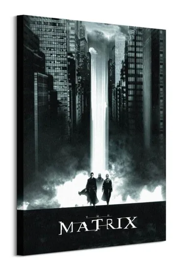 Obraz na płótnie The Matrix Lightfall obrazy na ścianę do salonu 60x80 cm Pyramid