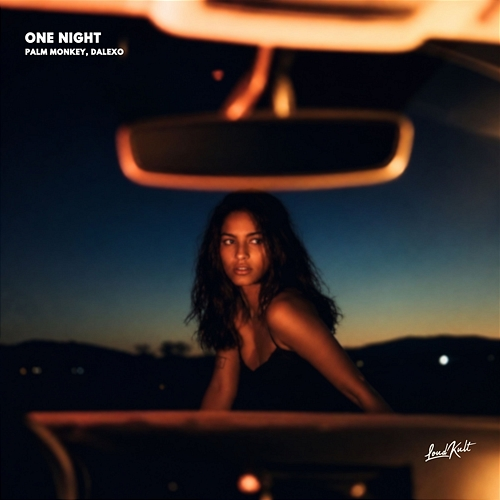 ONE NIGHT Palm Monkey, DALEXO